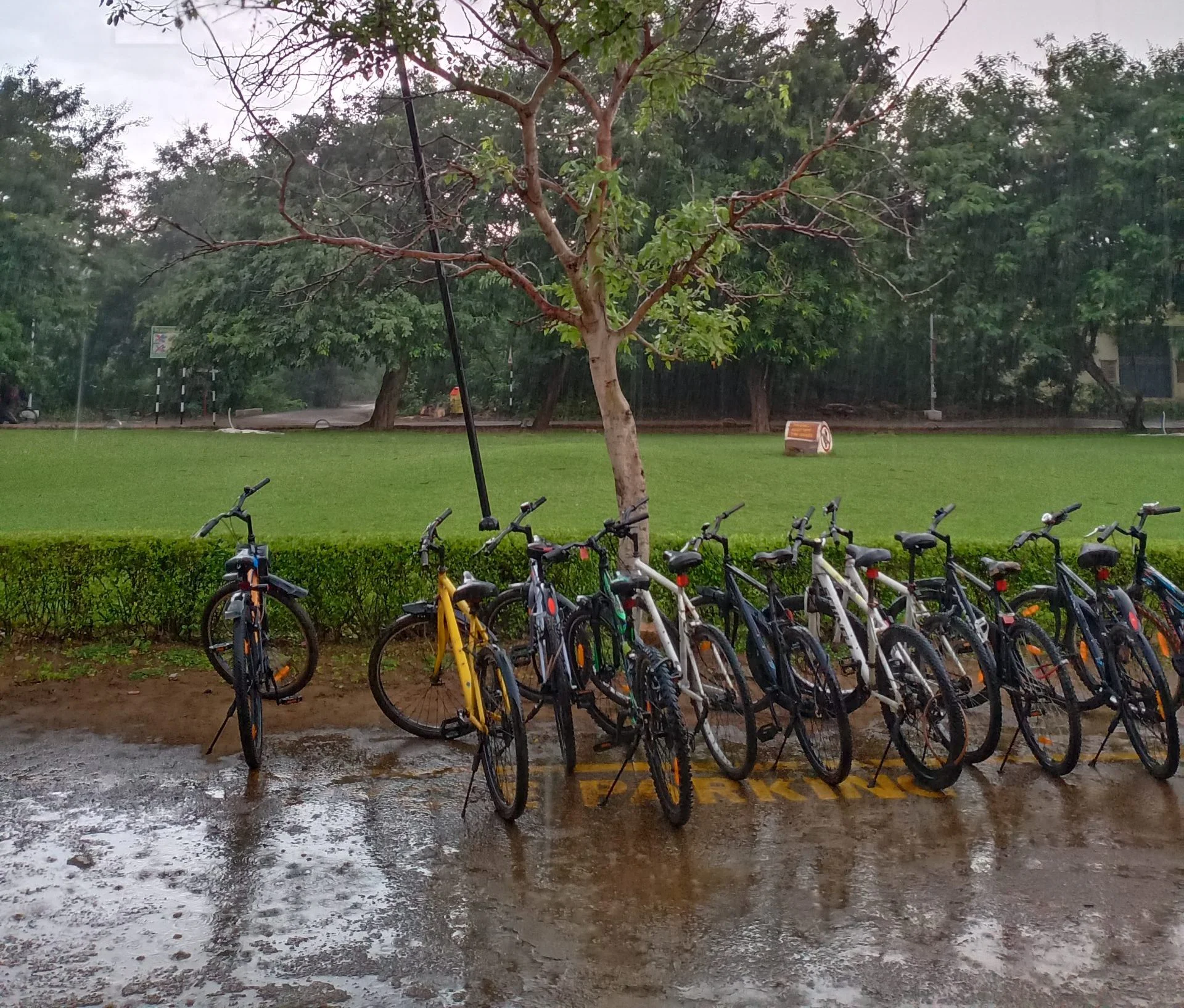 Cycling on Green Campus